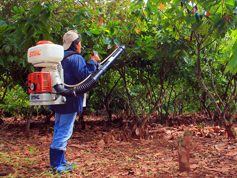 Motofumigadoras