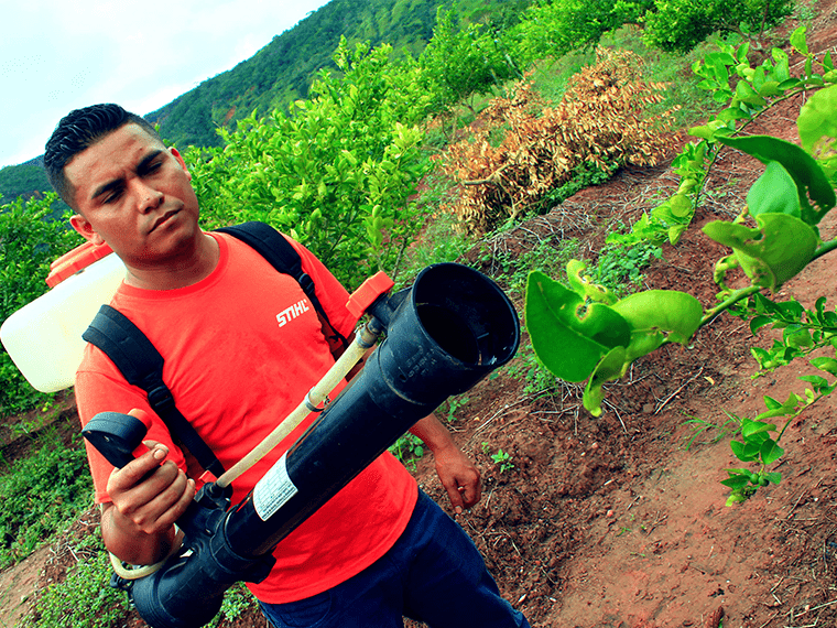 Motofumigadoras